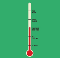 Sweet Sting Hot Honey